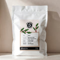 Cerrado Brazil Medium-Dark Roast Coffee Beans