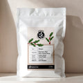 Ethiopia Medium-Dark Roast Coffee Beans